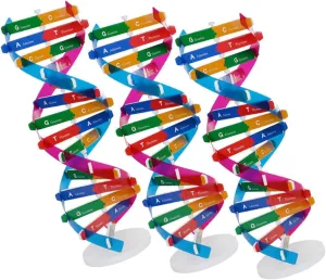 KICHOUSE 3Pcs Accurate Double Helix Model for Human Genes Education DIY Science Tool for Classroom Projects and Creative Learning
