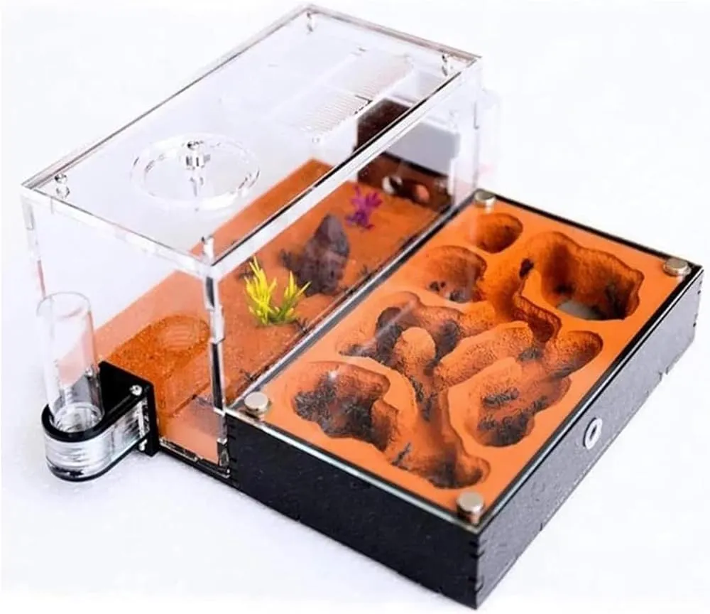 Large Ant Farm Castle – Plaster and Acrylic Slab Ant Nest with Feeding Area and Workshop Terrarium for Kids' Educational Ecosystem Gift