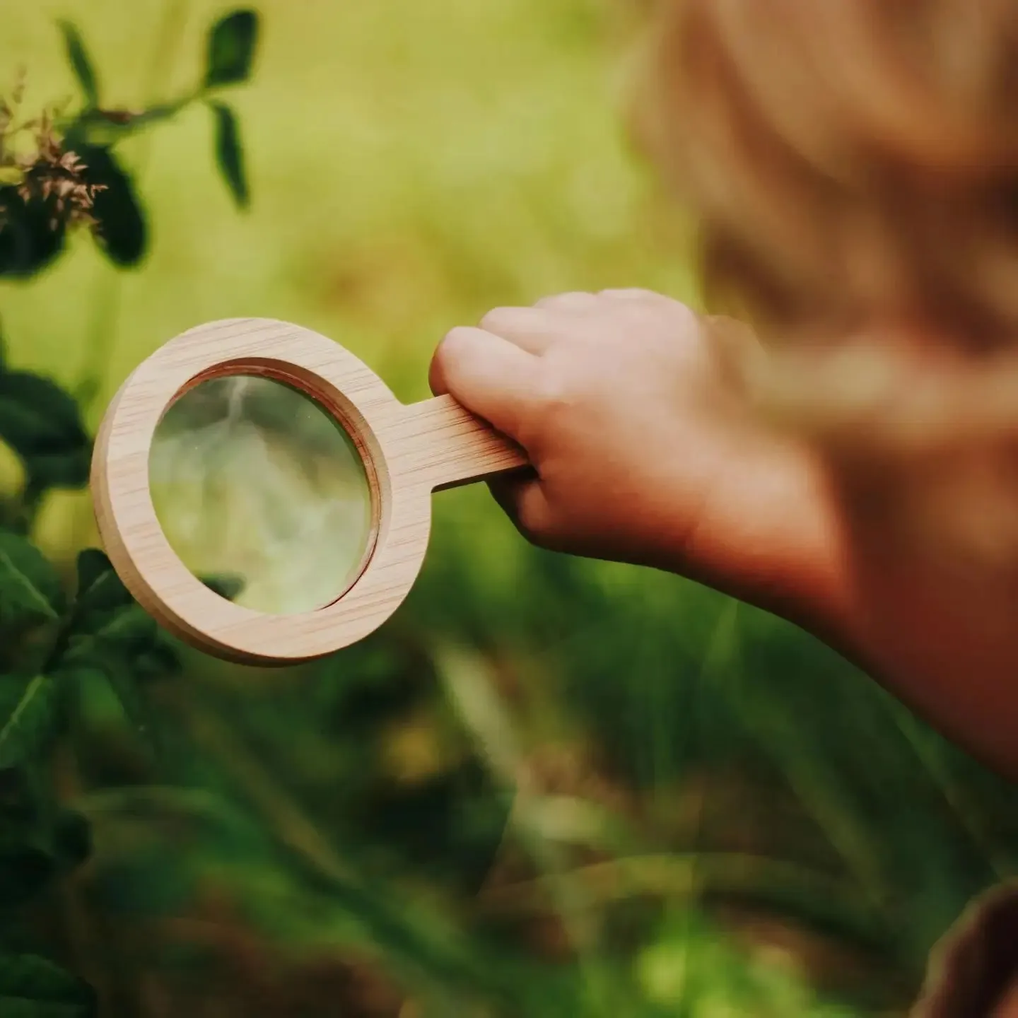 Magnifying Glass