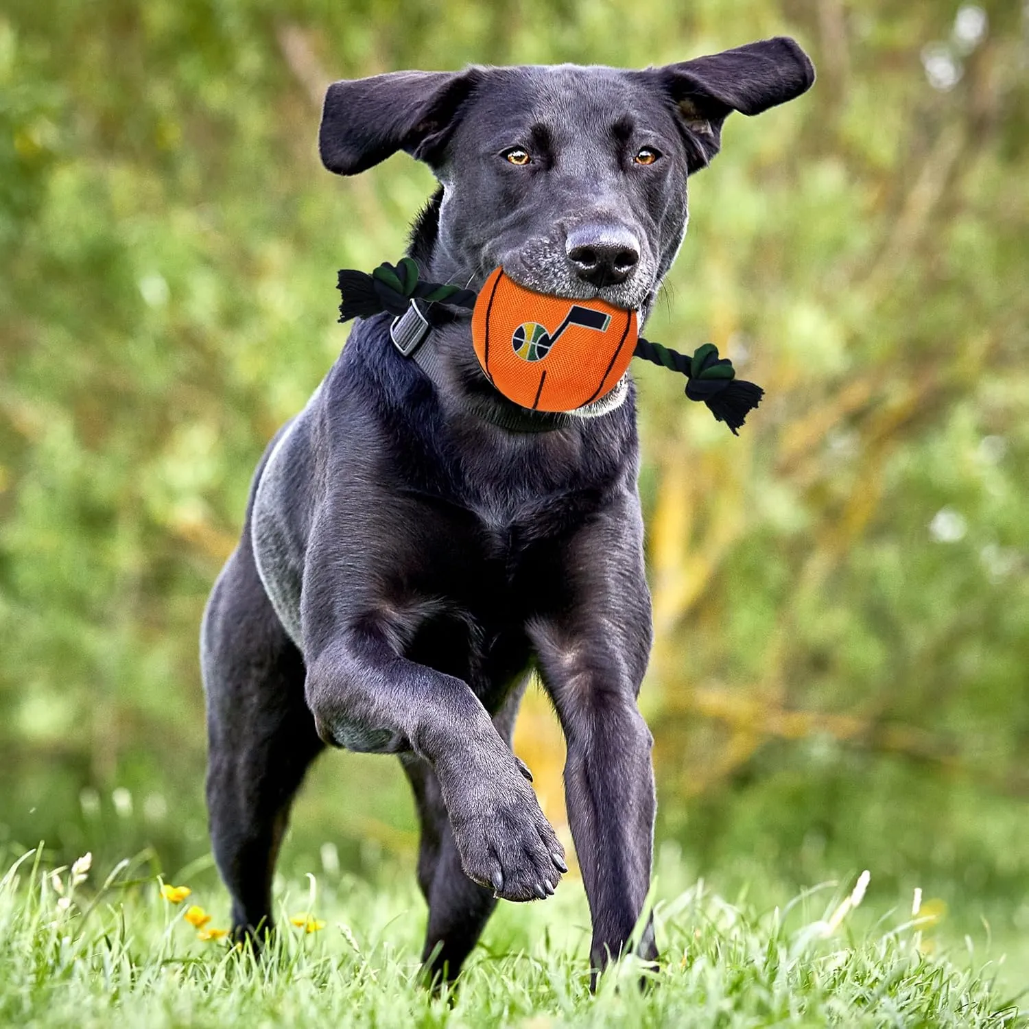 NBA UTAH JAZZ Basketball Toy. - Tough Nylon Pet Toy with Tug Ropes & inner Squeaker