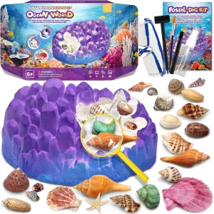 Ocean Fossil Dig Kit, Dig up 20  Real Shells & Seasnails, STEM Educational Activity Set Sea Creatures Excavation Toy for Kids, Marine Biology Geology Science Kit, Gift for Boys and Girls Age 6 