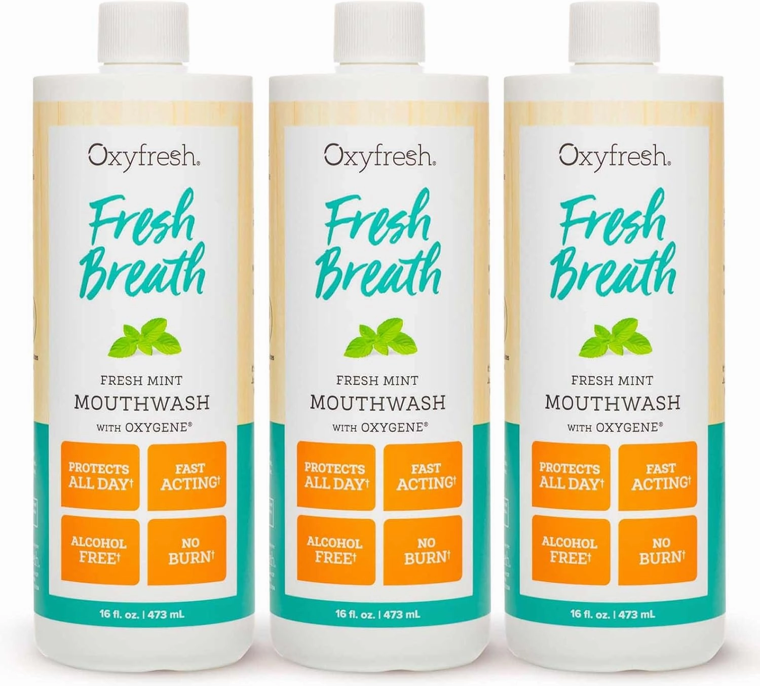 Oxyfresh Fresh Breath Fresh Mint Mouthwash – Dentist Recommended for Long-Lasting Fresher Breath & Healthy Gums | Alcohol & Fluoride Free (3-16 oz Bottles)