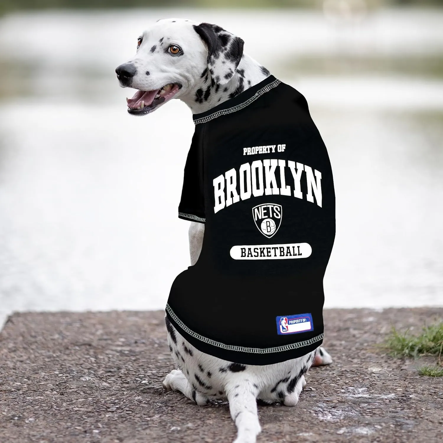 Pets First NBA Licensed Hoodies & T-shirt for Dogs & Cats, Brooklyn NETS, Small