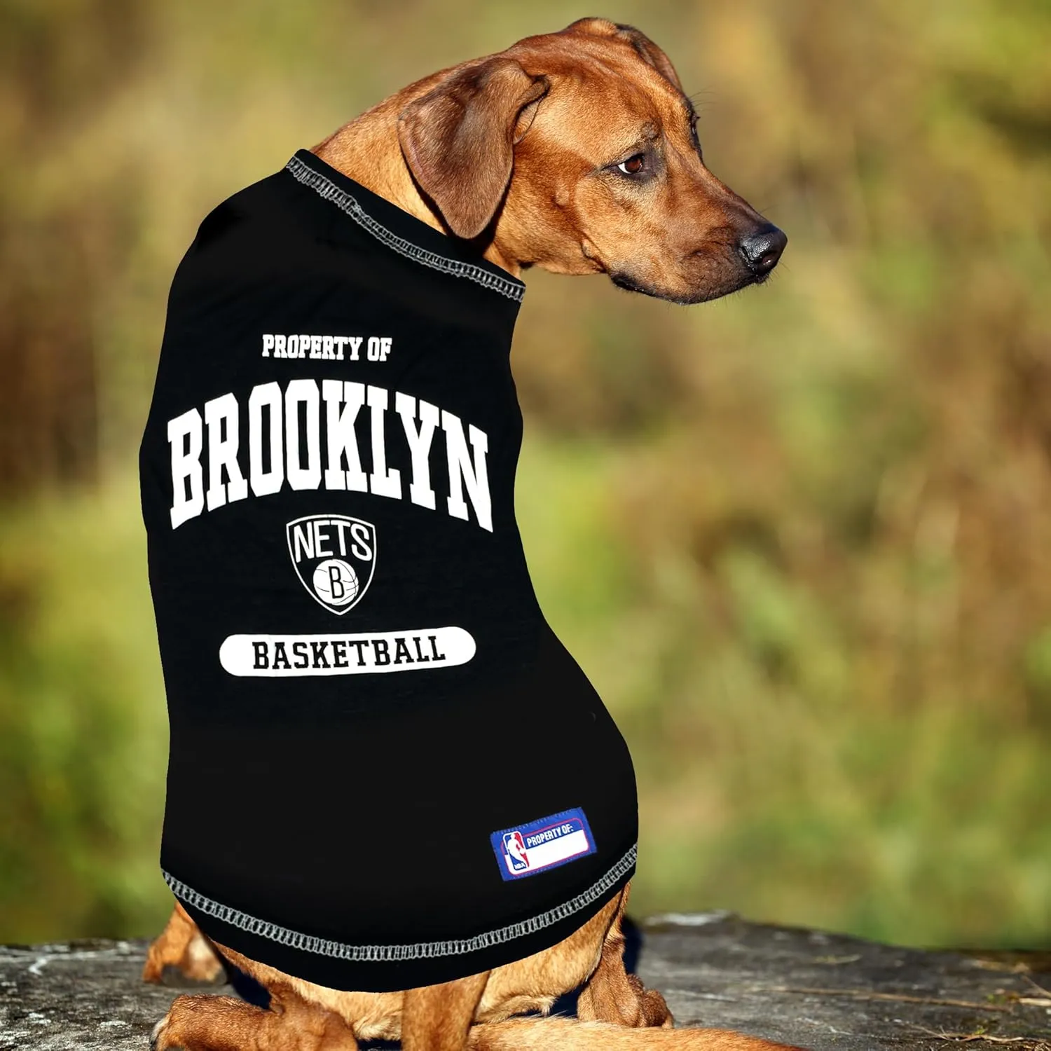 Pets First NBA Licensed Hoodies & T-shirt for Dogs & Cats, Brooklyn NETS, Small