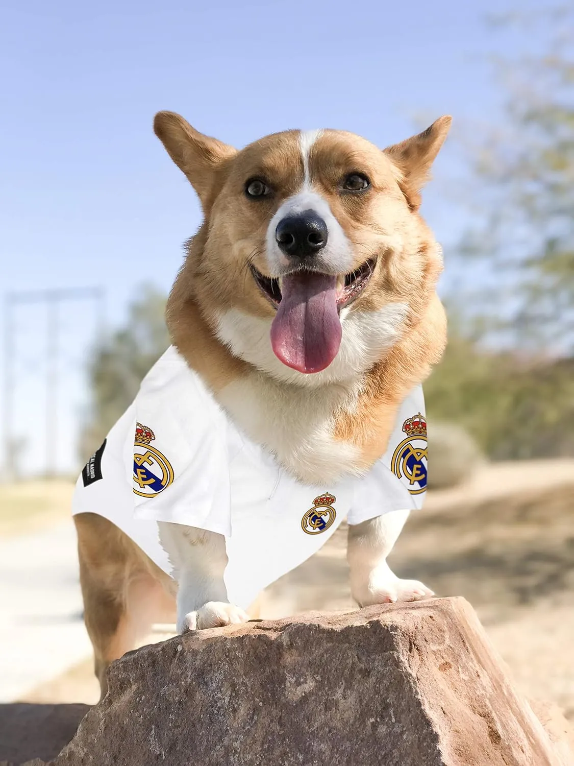 Pets First Real Madrid Jersey for DOGS & CATS Football Fan Jerseys, Bright Team colors, SIZE: X-Large