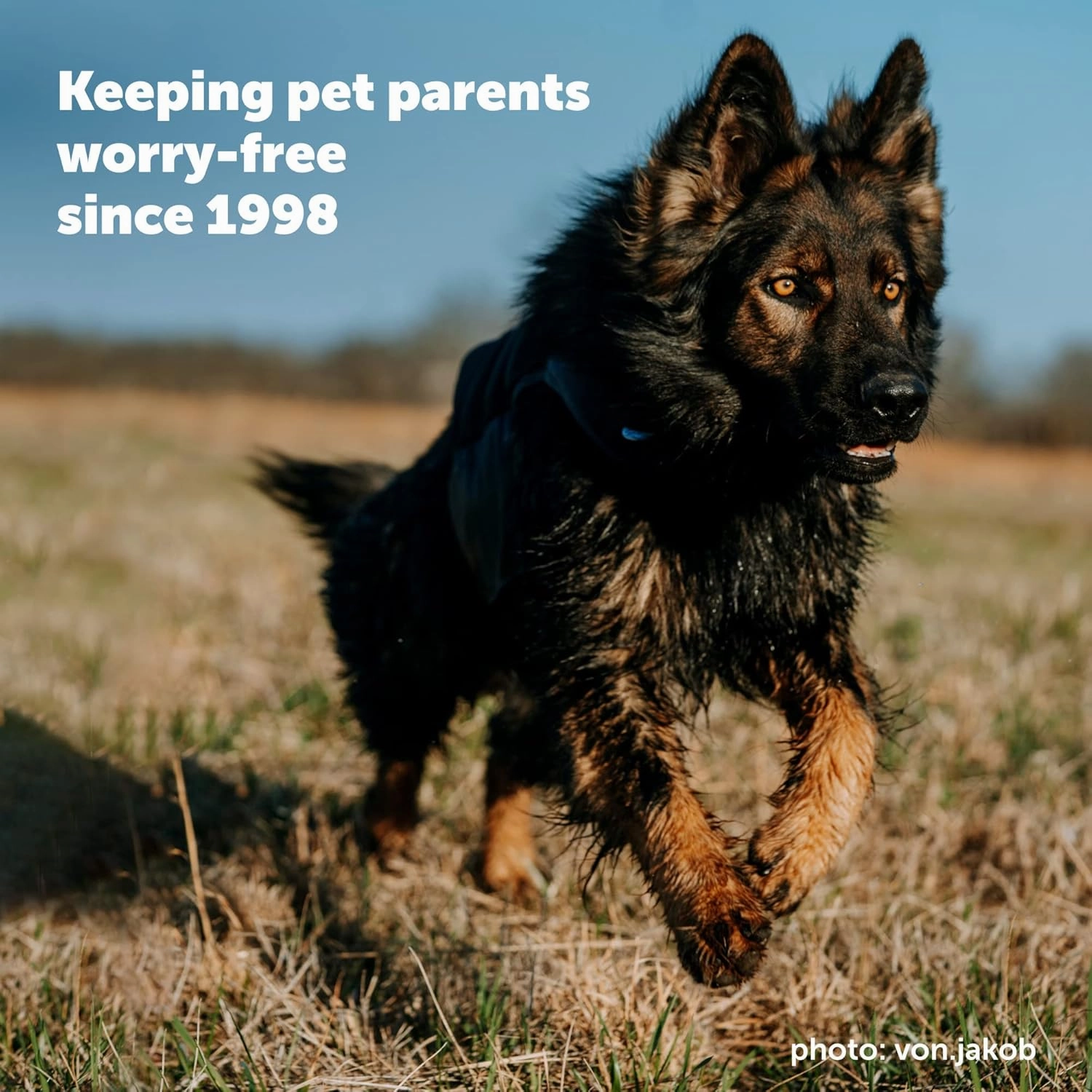 PetSafe YardMax Rechargeable In-Ground Dog Fence (500 Ft 1/3 Acre), Underground Dog Containment Kit, Covers Up to 10 Acres, Electric Pet Collar, from The Parent Company of Invisible Fence Brand