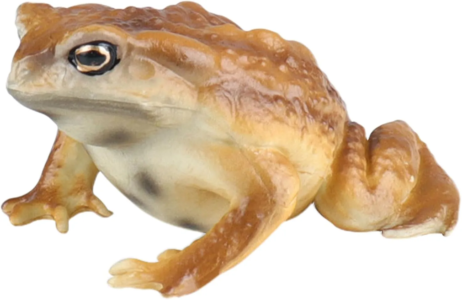 Realistic Solid Frog and Toad Animal Figurines for Kids, Educational Reptile Toys, Ideal for Birthday, Party Favors, and Science Projects（Brown）