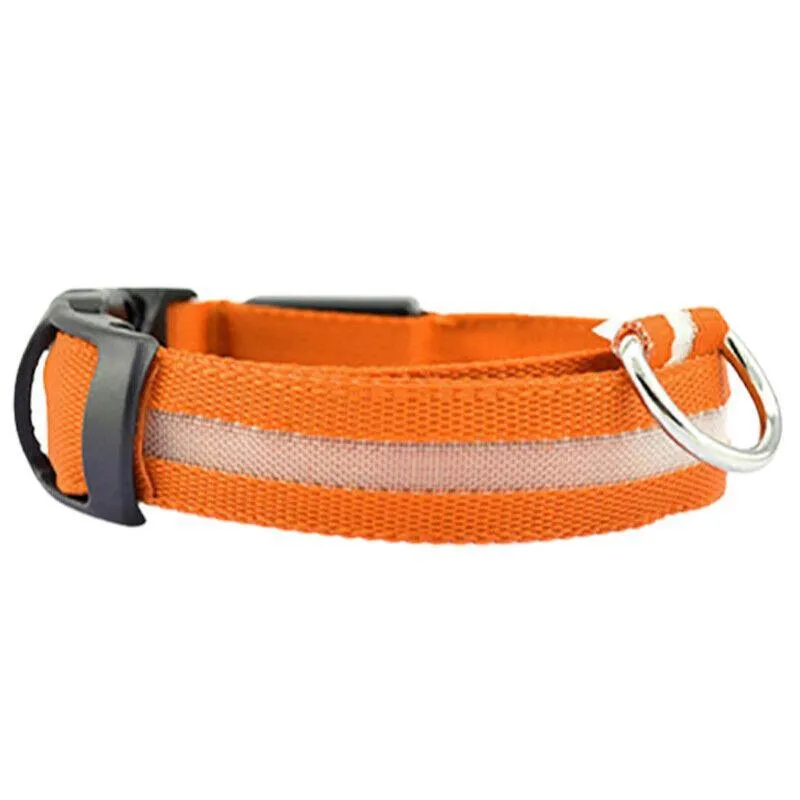 S Size Usb Rechargeable Led Dog Collar Nylon Glow Flashing Light Up Pet Safety Collars