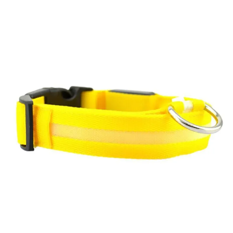 S Size Usb Rechargeable Led Dog Collar Nylon Glow Flashing Light Up Pet Safety Collars