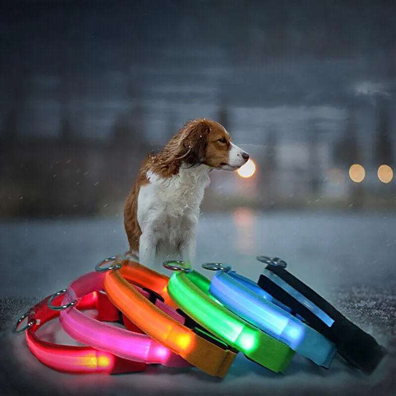 S Size Usb Rechargeable Led Dog Collar Nylon Glow Flashing Light Up Pet Safety Collars