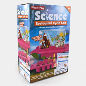 Science Ecological Cycle Lab
