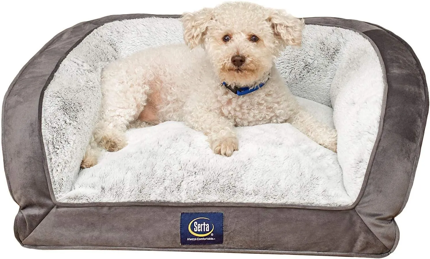 Serta Petite Couch Memory Foam Blend Pet Bed 24" x 20" Soft Grey