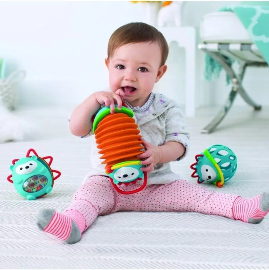 Skip Hop Accordian Baby Toy, Explore & More, Hedgehog