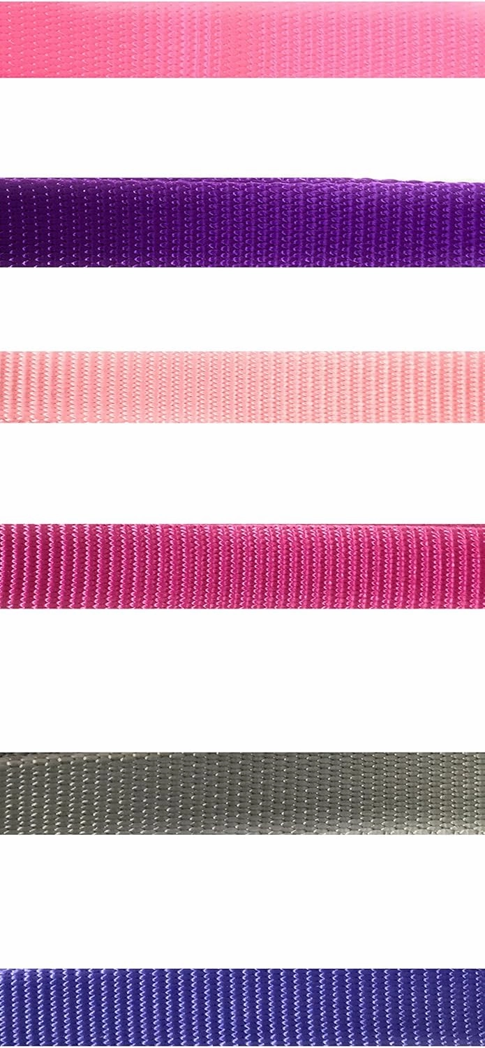 Sparky PetCo 3/4" Solid Nylon Compatible with Petsafe Replacement Strap Compatible with Petsafe Bark Collars-PBC00-13974, PBC00-13935, PBC00-12789, PUSB-300 (Black) (Neon Pink)