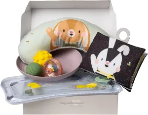 Taf Toys Baby Tummy Time Kit - High Contrast Black and White Crinkle Book, Support Pillow, Activity Water Mat, Sensory Balls, Plate - Newborn Infant Sensory Toy Set
