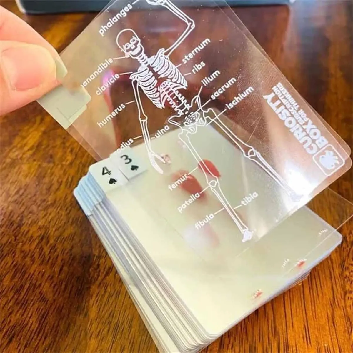 The Body Deck, 3D Image Educational Playing Cards, 2025 New The Poker for Magic Games, Funny Transparent Human Anatomy Playing Cards, for Card Collectors for Anatomy Enthusiasts(3pcs)