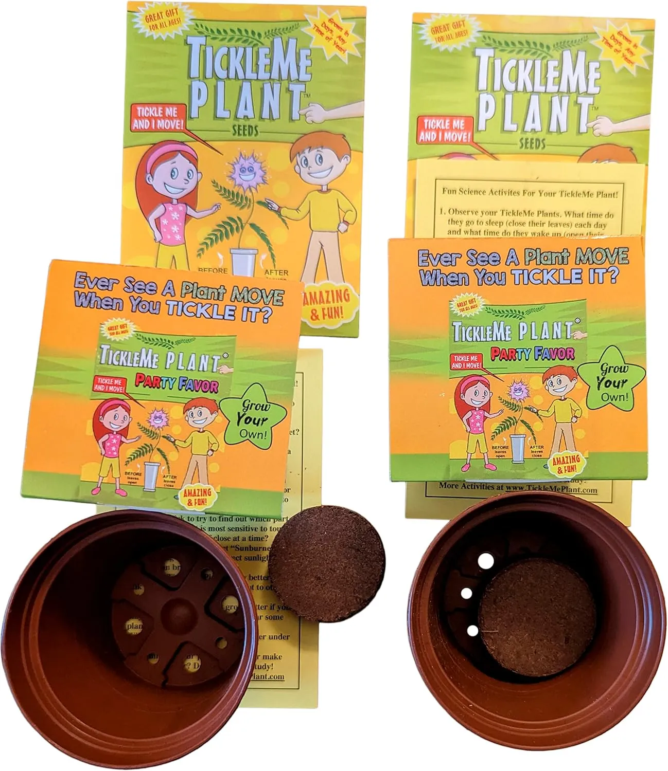 TickleMe Plant Birthday Party Favors (Pack of 2) Leaves Fold When You Tickle It, Minutes Later The Leaves Re-Open - Fun Interactive Plant Kit and. Educational Gift. Grow Indoors. It Even Flowers.