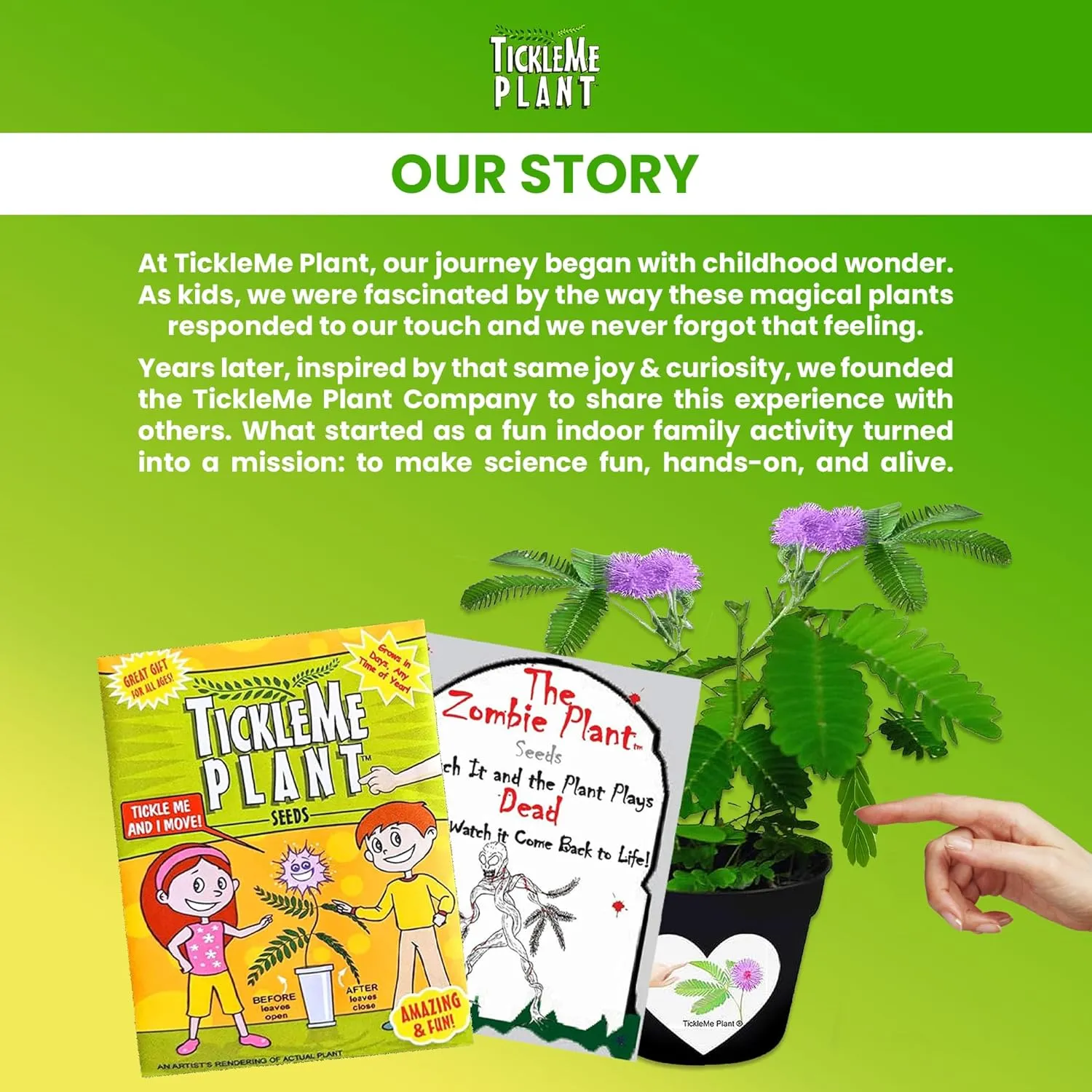 TickleMe Plant Birthday Party Favors (Pack of 2) Leaves Fold When You Tickle It, Minutes Later The Leaves Re-Open - Fun Interactive Plant Kit and. Educational Gift. Grow Indoors. It Even Flowers.