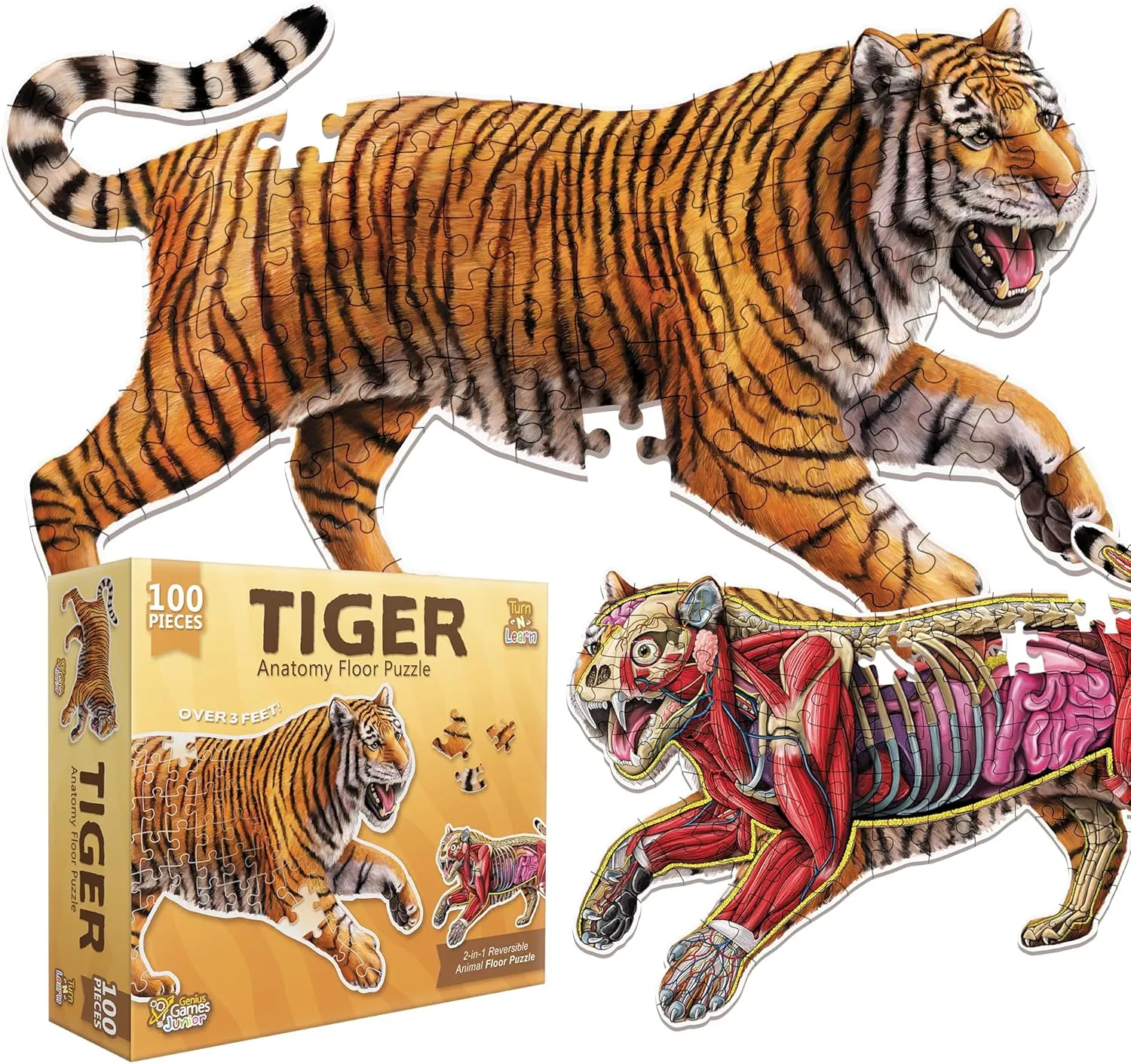 Tiger Animal Anatomy Floor Puzzle | 100-Piece Double Sided Jigsaw Puzzle | Large-Sized, Over 3 Feet Scientifically Accurate Illustration - Fun and Educational Toy for Kids, Toddlers and Families