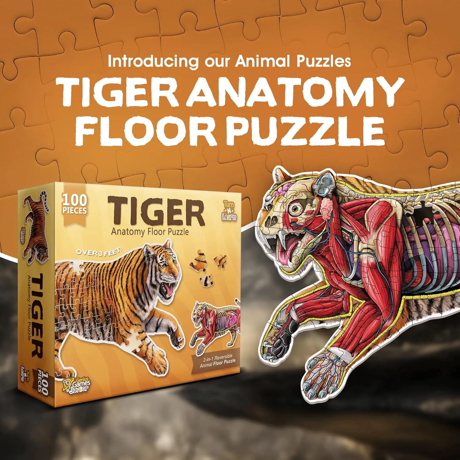 Tiger Animal Anatomy Floor Puzzle | 100-Piece Double Sided Jigsaw Puzzle | Large-Sized, Over 3 Feet Scientifically Accurate Illustration - Fun and Educational Toy for Kids, Toddlers and Families