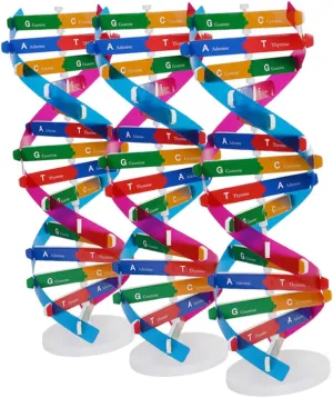 YARNOW 3 Pcs DNA Model Kit Double Helix Molecular Model for Classroom Learning Gene Education Interactive DIY Structure for Enhanced Understanding and Teamwork