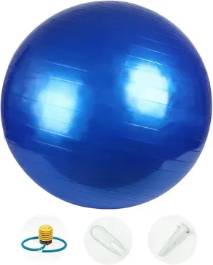 Yoga Ball Exercise Ball,Anti-Burst and Slip Resistant Stability Ball with Quick Pump,3 Sizes Workout Ball,Yoga Ball Chair,Swiss Ball for Home Gym Balance Physical Therapy Pilates Fitness