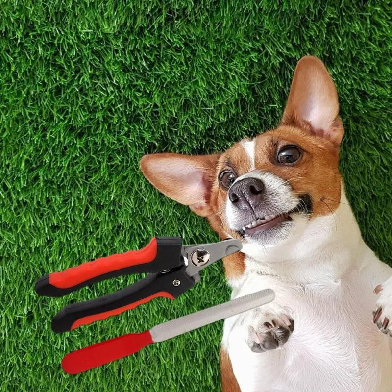 Ziggy Professional Rechargeable Electric Trimmer for Dogs